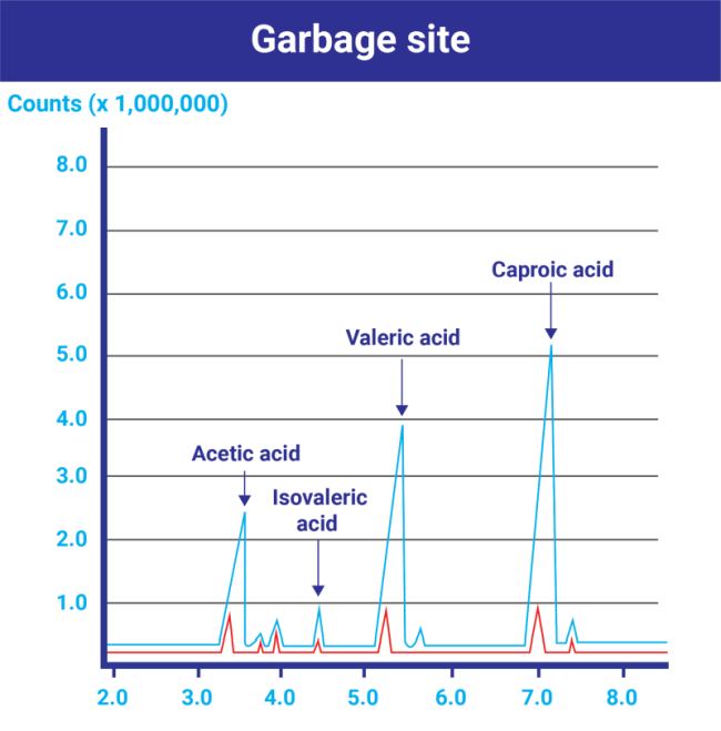 Results of odor removal treatment using the Super ActivO machine at garbage-sites